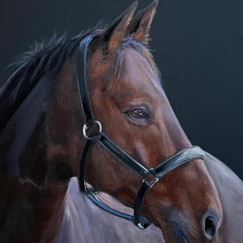 Custom Horse Oil Painting